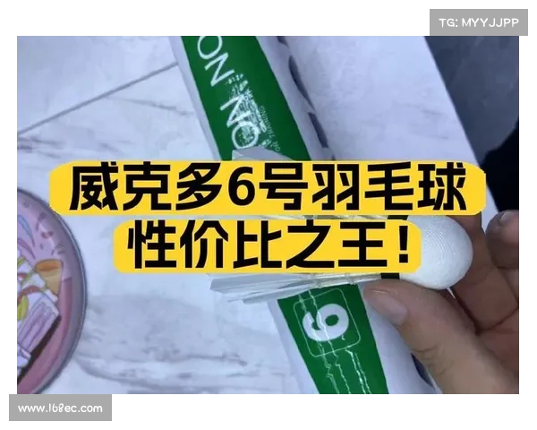 羽毛球价格分析与选择指南 如何挑选性价比最高的羽毛球产品 羽毛球价格分析与选择指南 如何挑选性价比最高的羽毛球产品